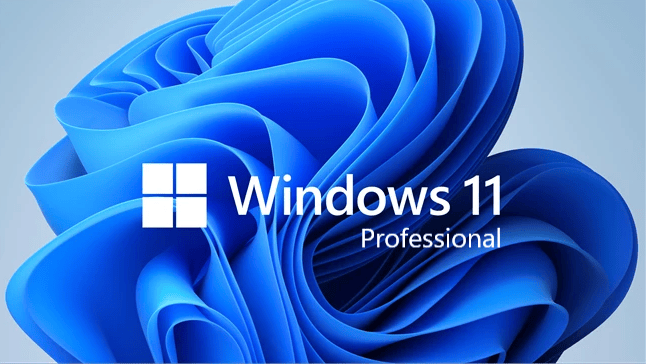 Windows 10 / 11 Pro License Key 1PC Retail Key